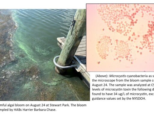 Bloom photos for Maddy C. Blog Article