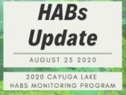 CLWN HABs Update 2020