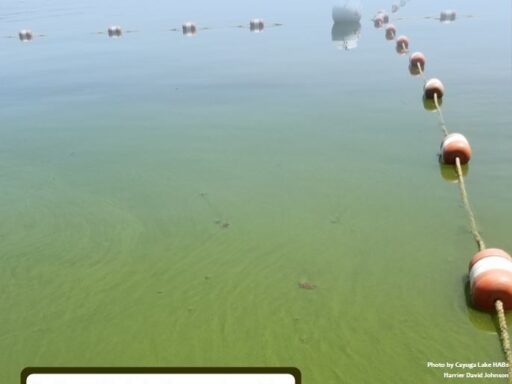 Fall 2019 Water Bulletin Cover