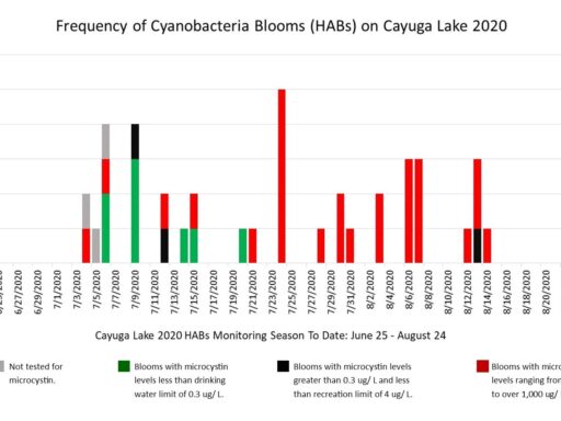 Figure for Maddy C. Blog Article
