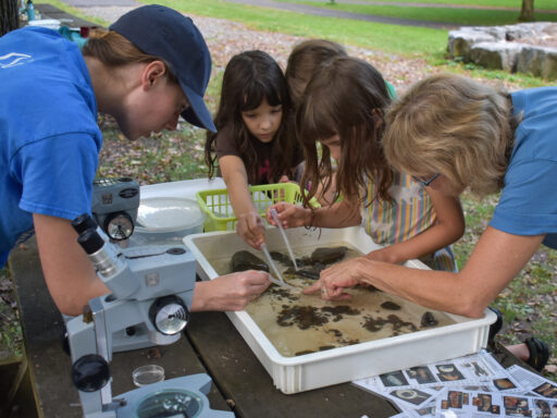 Biomonitoring at Buttermilk (1 of 1)