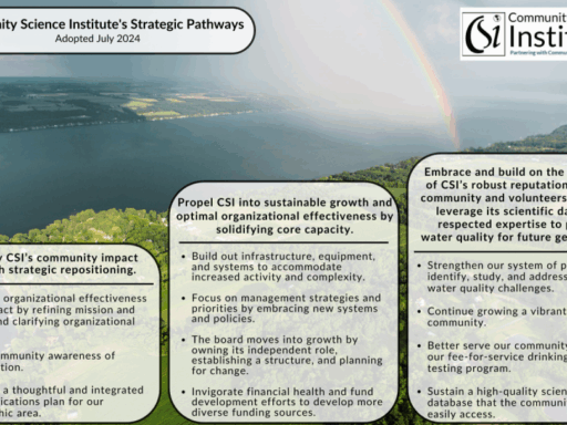 Strategic Pathway FINAL 2024