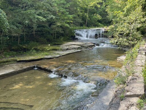 Photo by Grascen Shidemantle/CSI