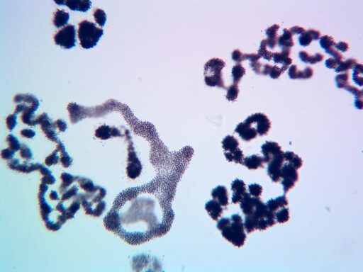 24-3402-B3-092324-AJ20240923155143524