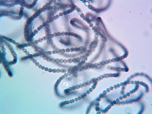 24-3447-B1-092324-AJ20240923151229767