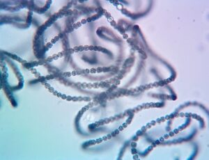 24-3447-B1-092324-AJ20240923151229767