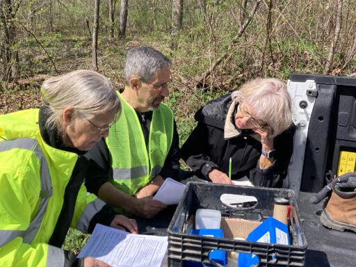 Sulphur Springs Creek at Emery Rd (Anne J, Lou C, Jan G)