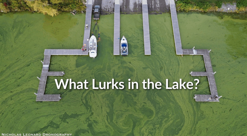 taugh event cover taugh event cover