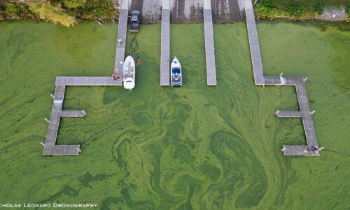 A drone image of Cayuga Lake, captured from the northern end of the lake looking south. 
Photo credit: Nicholas Leonard Dronography