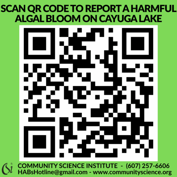 HAB Report QR Code