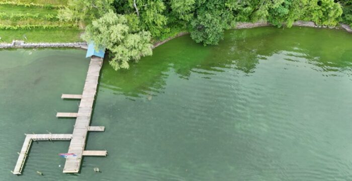 Goosewatch dock DJI_20250708145057_0183_D